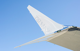 Stylish new winglets